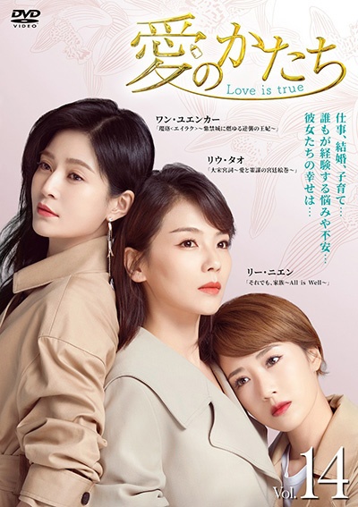 愛のかたち～Ｌｏｖｅ　ｉｓ　ｔｒｕｅ～Ｖｏｌ．１４