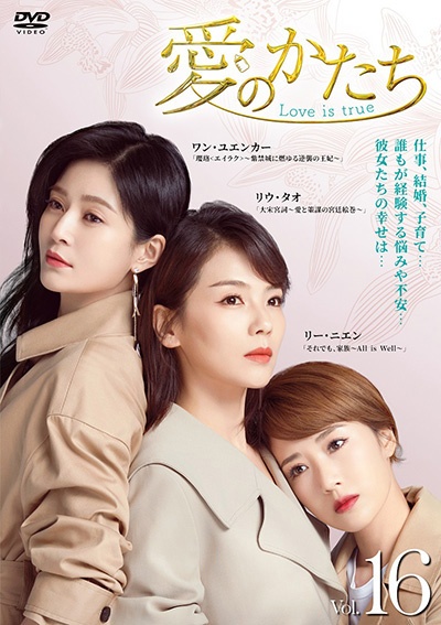 愛のかたち～Ｌｏｖｅ　ｉｓ　ｔｒｕｅ～Ｖｏｌ．１６