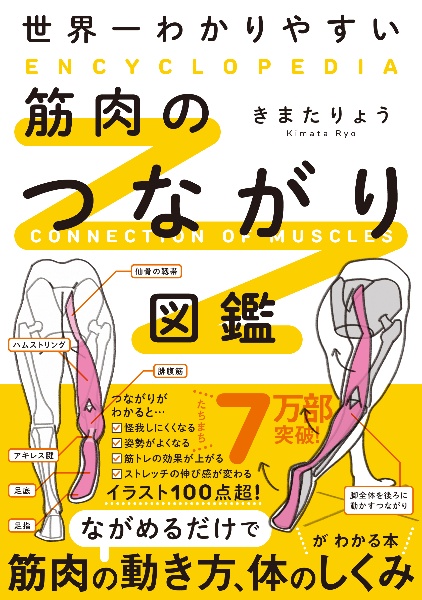 世界一わかりやすい　筋肉のつながり図鑑