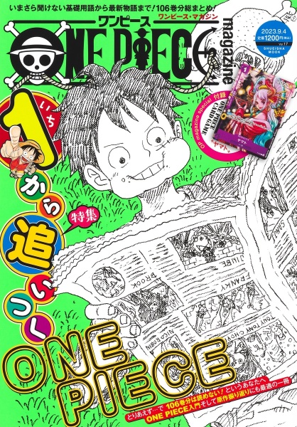 ＯＮＥ　ＰＩＥＣＥ　ｍａｇａｚｉｎｅ