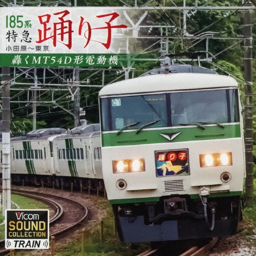 １８５系　特急踊り子　小田原～東京　轟くＭＴ５４Ｄ形電動機