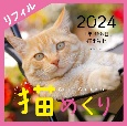 Cats　Calendar猫めくりリフィル　1年366日、猫まみれ　2024