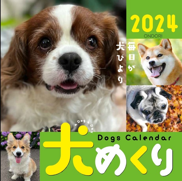 Ｄｏｇｓ　Ｃａｌｅｎｄａｒ犬めくり　毎日が犬びより　２０２４