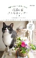 花屋の猫スカのカレンダー　2024