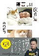 寝苦しい夜の猫