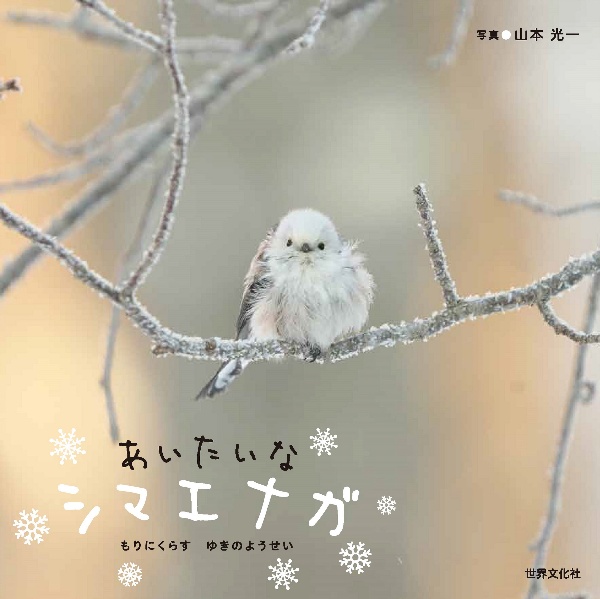 あいたいなシマエナガ もりにくらすゆきのようせい