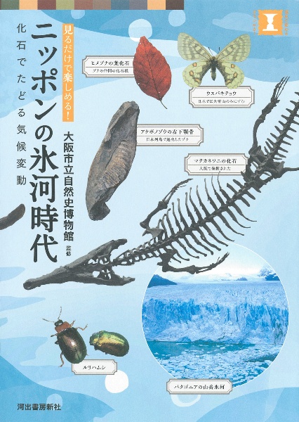 ニッポンの氷河時代　化石でたどる気候変動