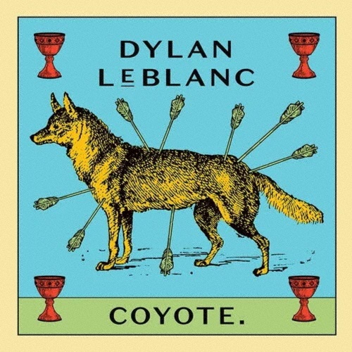 ＣＯＹＯＴＥ