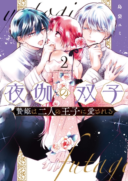夜伽の双子 贄姫は二人の王子に愛される（2）
