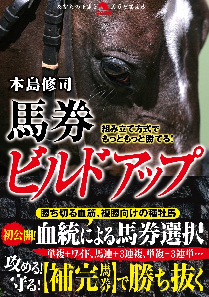 組み立て方式でもっともっと勝てる!馬券ビルドアップ