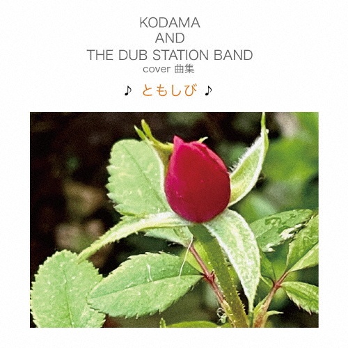 COVER曲集 ♪ともしび♪/ＫＯＤＡＭＡ ＡＮＤ ＴＨＥ ＤＵＢ