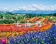 絶景！彩りの四季　北海道カレンダー　2024
