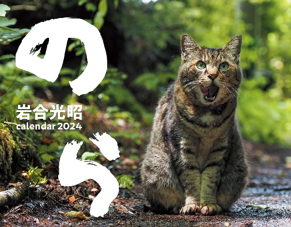 猫カレンダーのら　２０２４