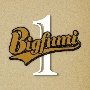 Bigfumi　1