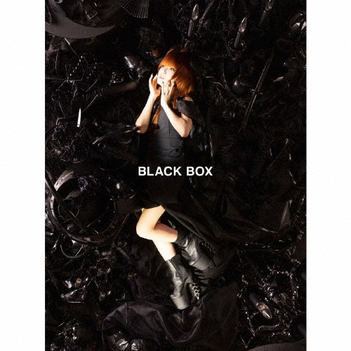 ＢＬＡＣＫ　ＢＯＸ（Ｂ）