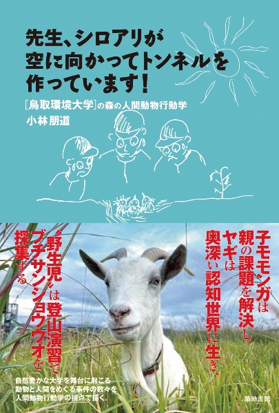 先生、シロアリが空に向かってトンネルを作っています! [鳥取環境大学]の森の人間動物行動学
