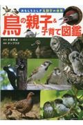鳥の親子&子育て図鑑