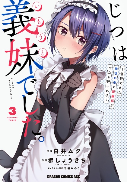 じつは義妹-いもうと-でした。 最近できた義理の弟の距離感がやたら近いわけ（3）