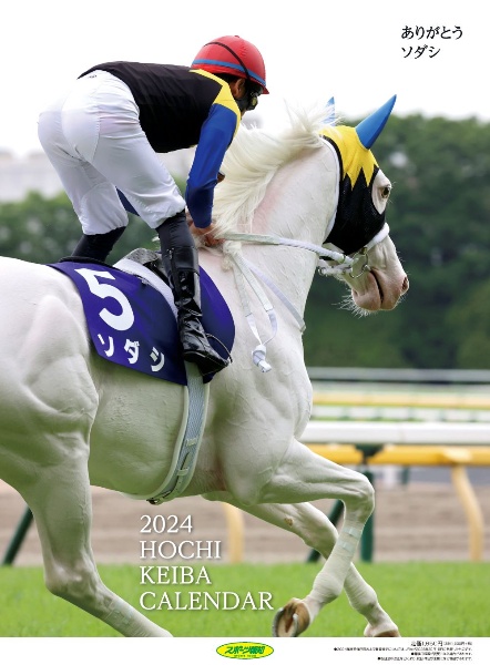 報知競馬カレンダー２０２４