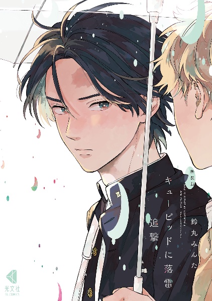 BL コミック 特典 鈴丸みんた 落花流水のホシ セット BL コミック 特典 鈴丸みんた 落花流水のホシ セット 落花流水の