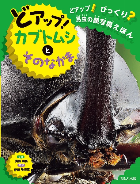 どアップ!カブトムシとそのなかま