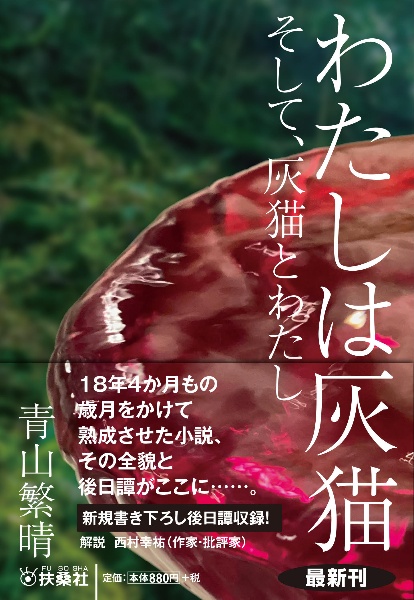 わたしは灰猫 そして、灰猫とわたし