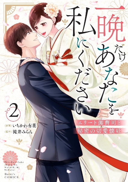 一晩だけあなたを私にください~エリート御曹司と秘密の切愛懐妊~