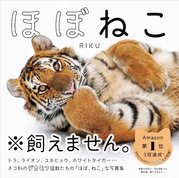 本『ほぼねこ　ネコ科の猛獣たちのネコみたいな写真集』の書影です。