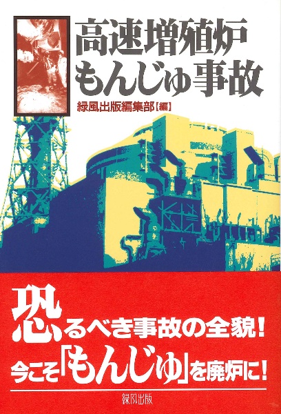 高速増殖炉もんじゅ事故