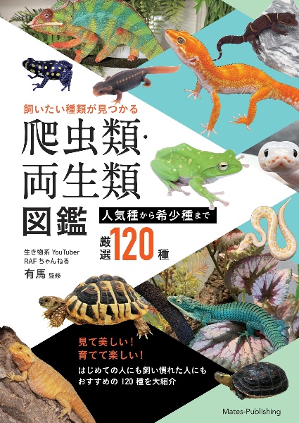 爬虫類と両生類の暮らしを再現 ビバリウム 生息環境・品種別のつくり方