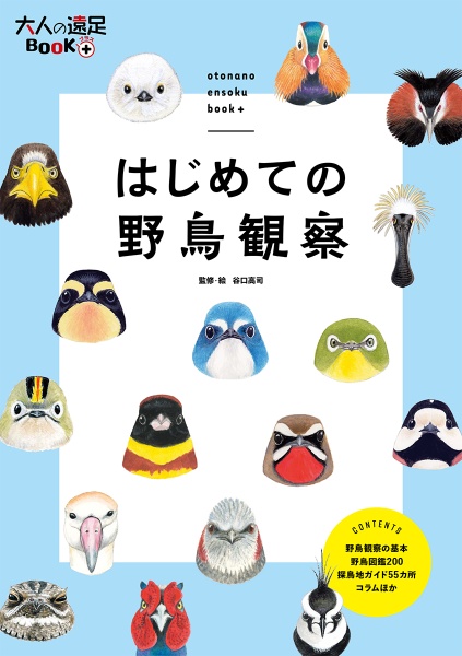 はじめての野鳥観察