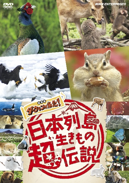日本列島生きもの超伝説 劇場版 ダーウィンが来た! - レンタル