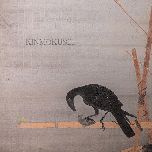 ベスト・コンディション+レアトラックス/キンモクセイ - 販売CD 