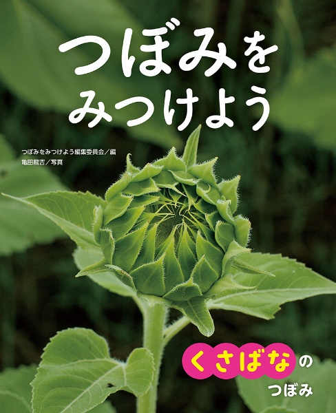 つぼみをみつけよう　くさばなの　つぼみ　堅牢製本図書