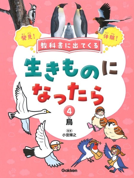 教科書に出てくる生きものになったら　鳥　特別堅牢製本図書