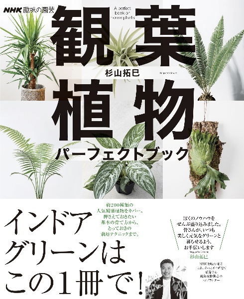 観葉植物パーフェクトブック