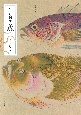 江戸の図譜　魚