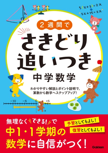 ２週間でさきどり追いつき　中学数学