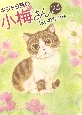 キジトラ猫の小梅さん(24)