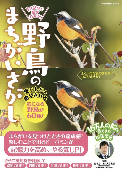 １　日２　分で脳が若返る！　野鳥のまちがいさがし