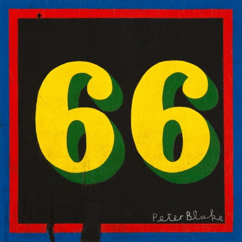 ６６