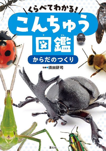 からだのつくり 図書館用特別堅牢製本図書