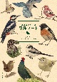 ココロさえずる　野鳥ノート