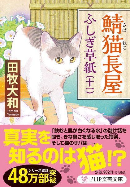 鯖猫長屋ふしぎ草紙（11）