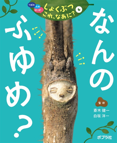 なんのふゆめ？　図書館用特別堅牢製本図書