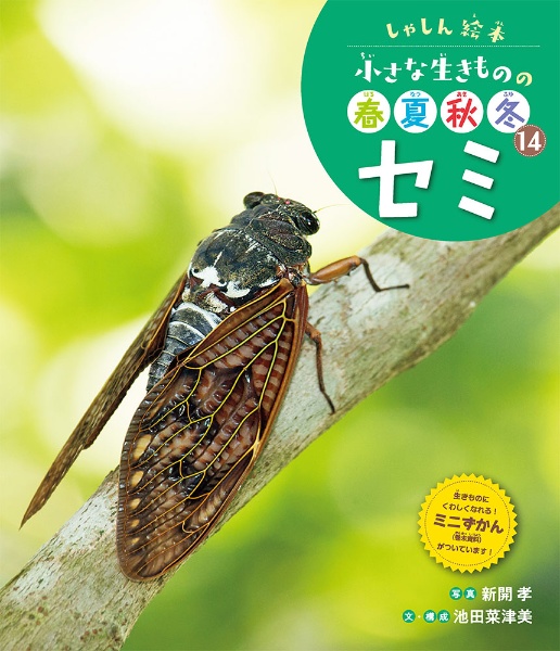 セミ 図書館用特別堅牢製本図書