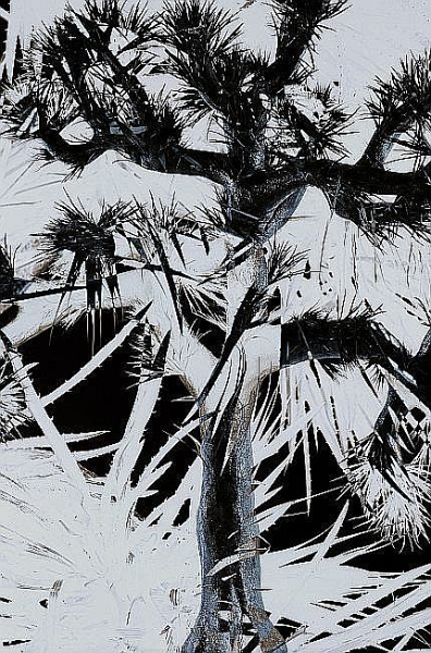 商品一覧｜レンタル・販売 商品在庫検索｜TSUTAYA 店舗情報