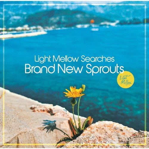 Ｌｉｇｈｔ　Ｍｅｌｌｏｗ　Ｓｅａｒｃｈｅｓ　－　Ｂｒａｎｄ　Ｎｅｗ　Ｓｐｒｏｕｔｓ