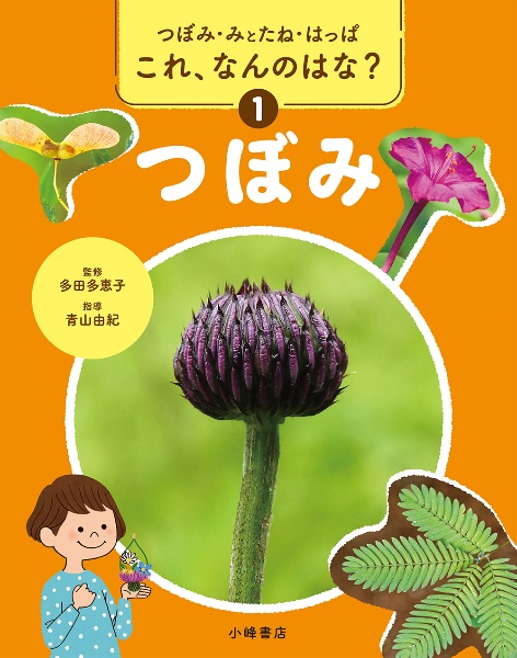 つぼみ・みとたね・はっぱ これ、なんのはな? つぼみ