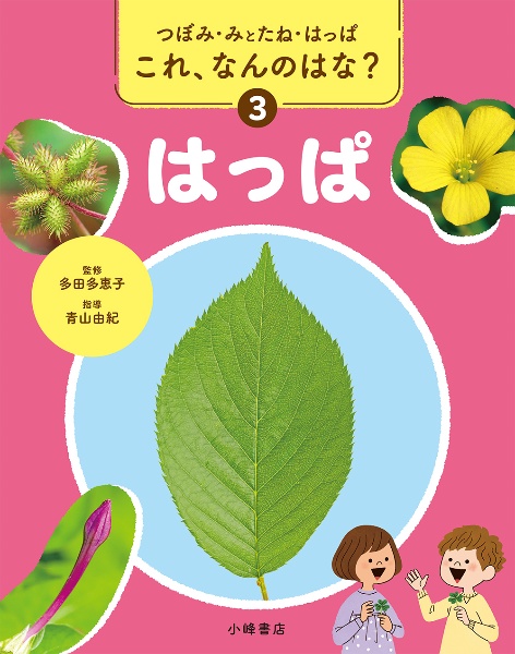 つぼみ・みとたね・はっぱ これ、なんのはな? つぼみ